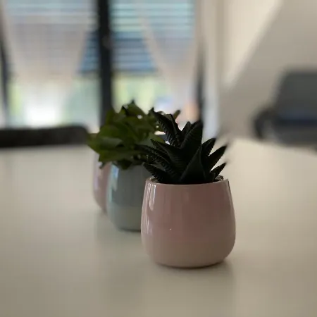 Lazy Deer - Jelenia Góra