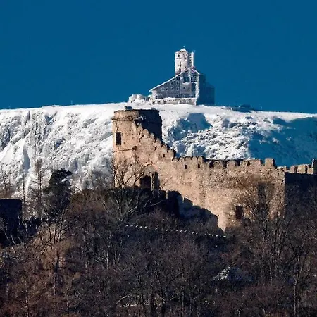 Apartamento Lazy Deer - *