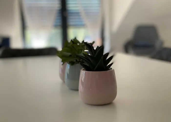 Lazy Deer - Jelení Hora